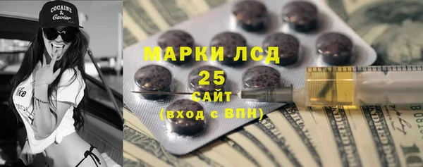 гашик Вяземский