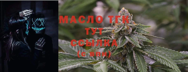 гашик Вяземский