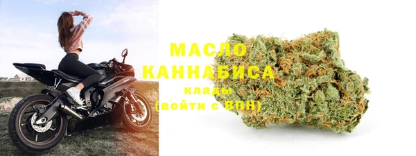 гашик Вяземский