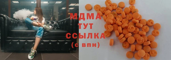 гашик Вяземский