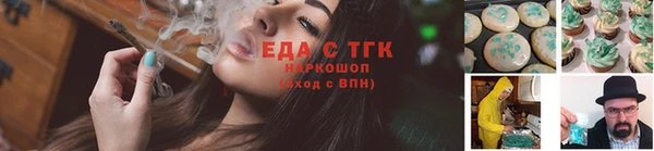 гашик Вяземский