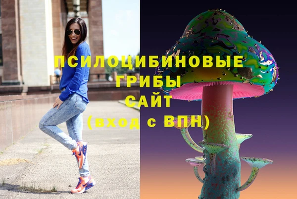 гашик Вяземский