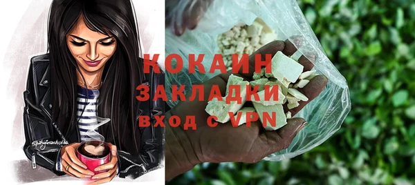 гашик Вяземский